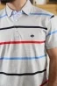 Polo gris clair manches courtes à rayures Homme - Sir Seven