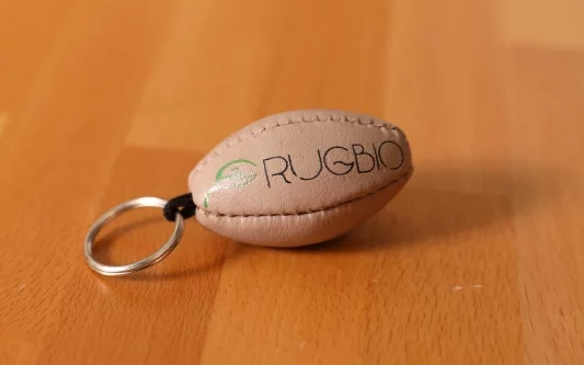 Porte-clés ballon de rugby...